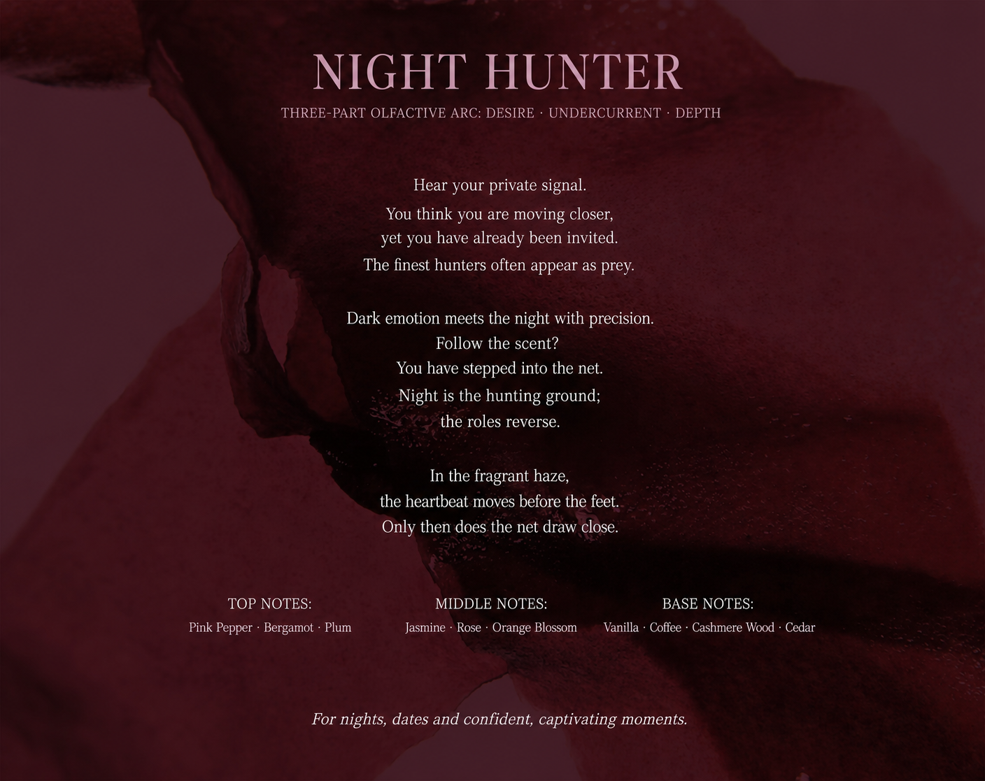 Night Hunter scent story and fragrance notes