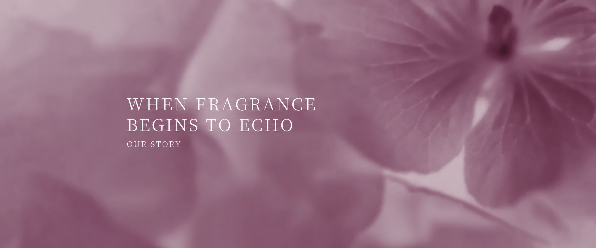 When fragrance begins to echo.